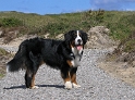 Texel Anton PICT 1645_Bildgröße ändern